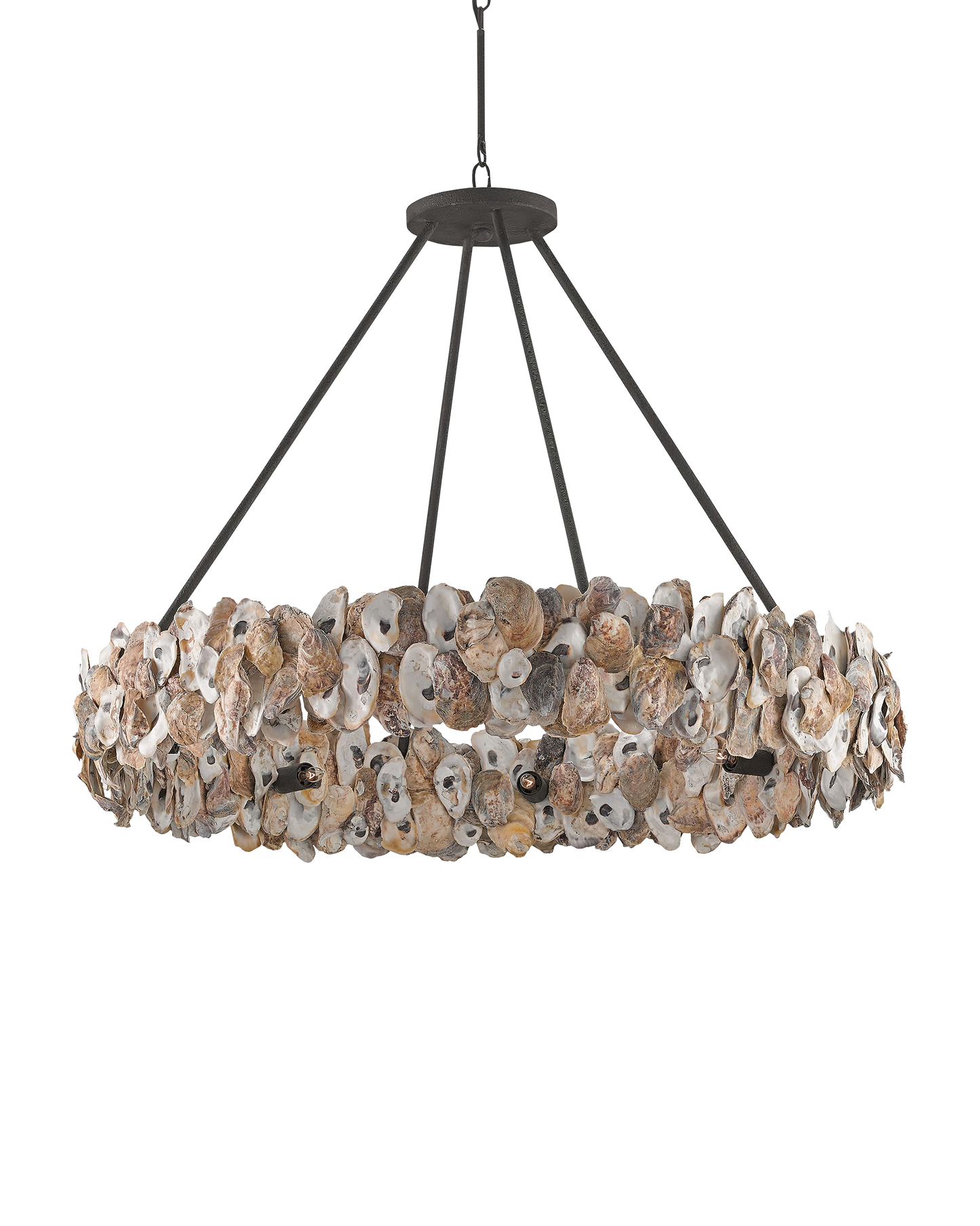 Oyster Shell Chandelier