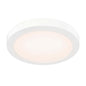 9in flush mount for coastal environment