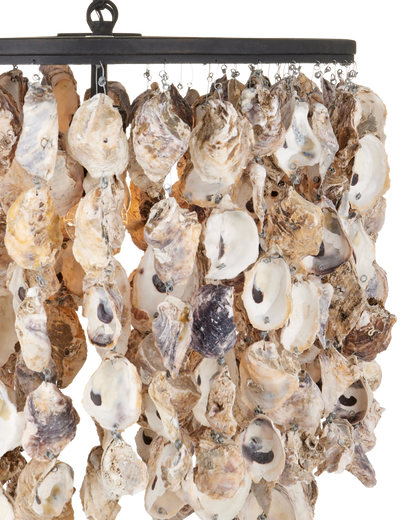 Stillwater Oyster Shell Oval Chandelier