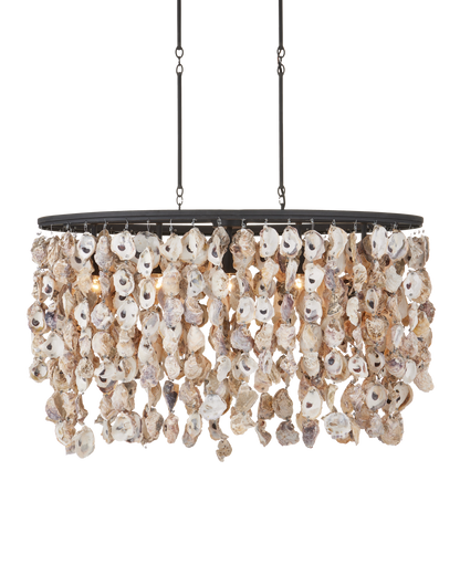 Stillwater Oyster Shell Oval Chandelier
