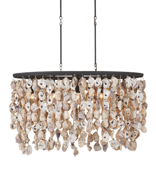 Stillwater Oyster Shell Oval Chandelier