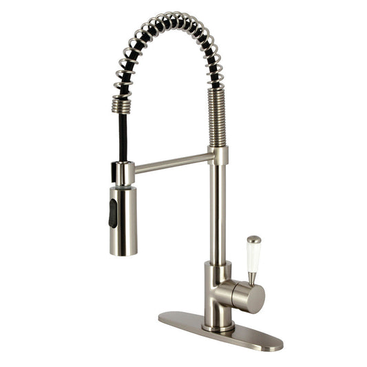 Paris Pre-Rinse Kitchen Faucet in Brushed Nickel
