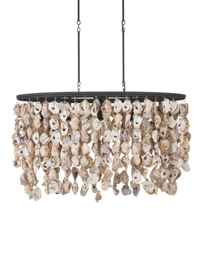 Stillwater Oyster Shell Oval Chandelier