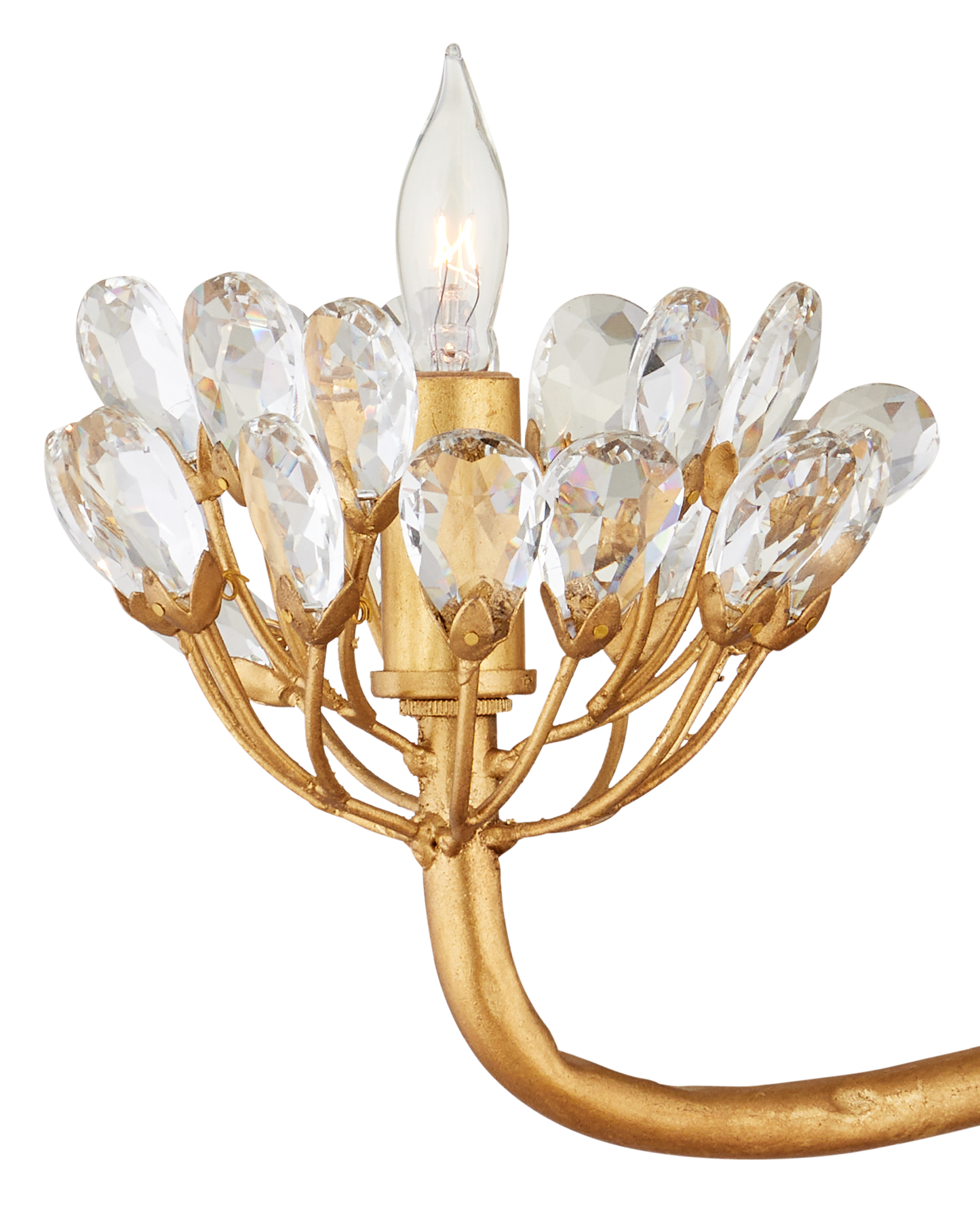 Agave Americana Gold Chandelier