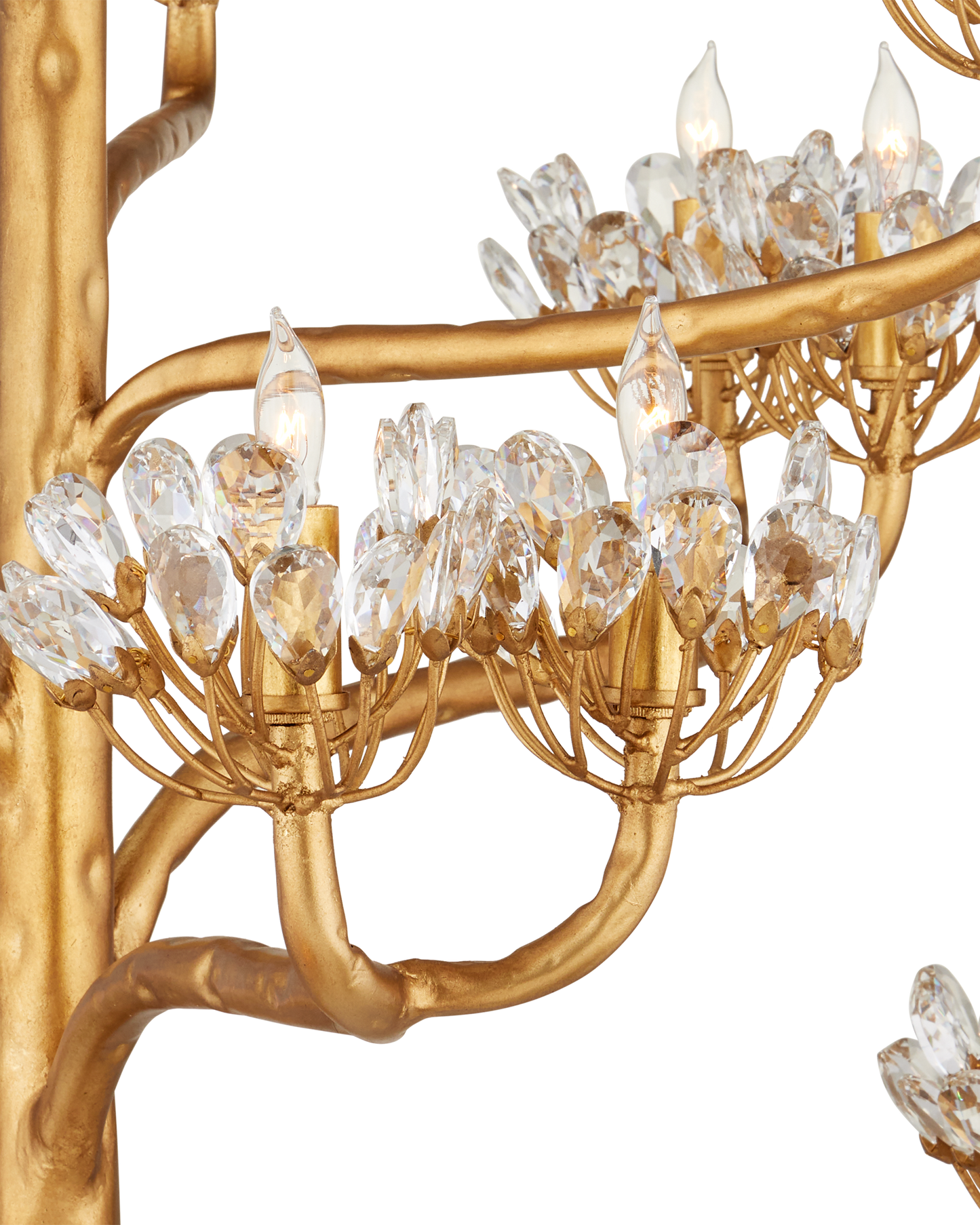 Agave Americana Gold Chandelier
