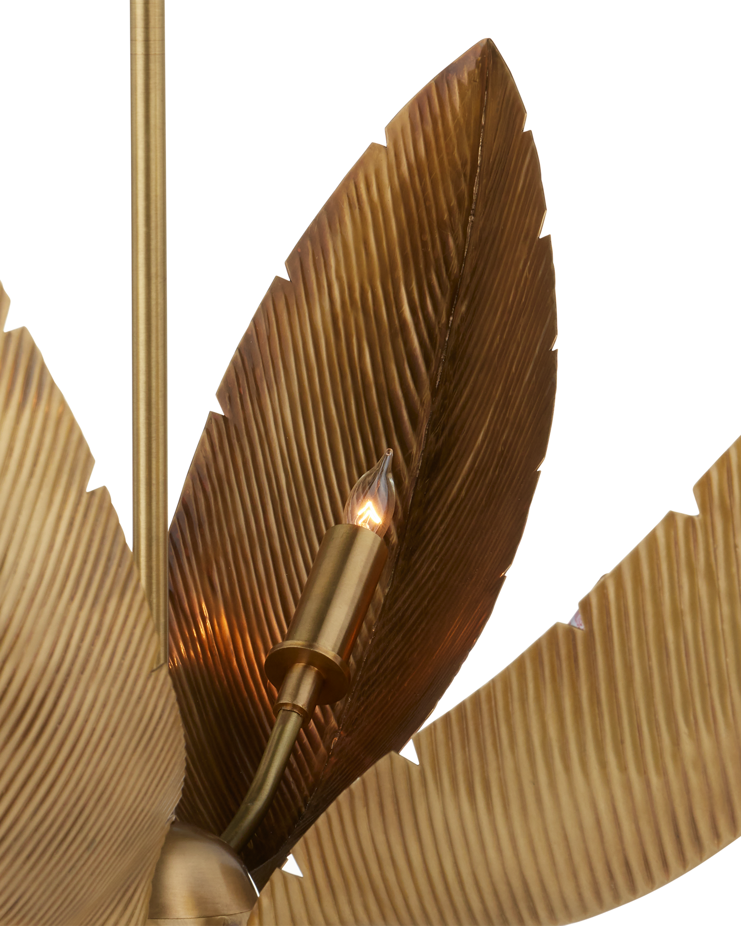 Bird of Paradise Brass Chandelier