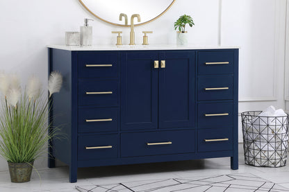 48 inch Single Bathroom Vanity in Blue