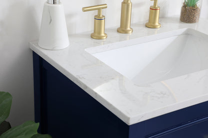24 inch Single Bathroom Vanity in Blue