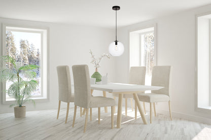 Placido Collection Pendant D11.8 H11.4 Lt:1 Black and Clear Finish