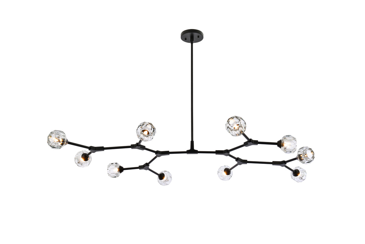 Zayne 10 Light Pendant in Black