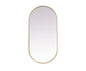 Metal Frame Oval Mirror 24x48 Inch in Brass