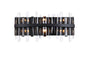 Serena 24 inch crystal bath sconce in black