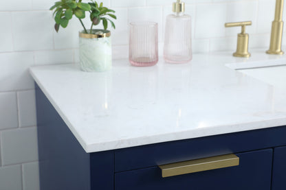 54 Inch SIngle Bathroom Vanity In Blue