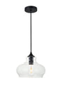 Destry 1 Light Black Pendant With Clear Glass