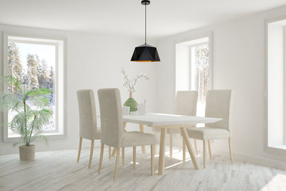 Arden Collection Pendant D15.0'' H9.6 Lt:1 Black and Gold Finish