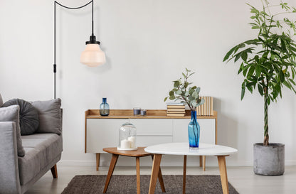 Lyle 1 light Black and frosted white glass plug in pendant
