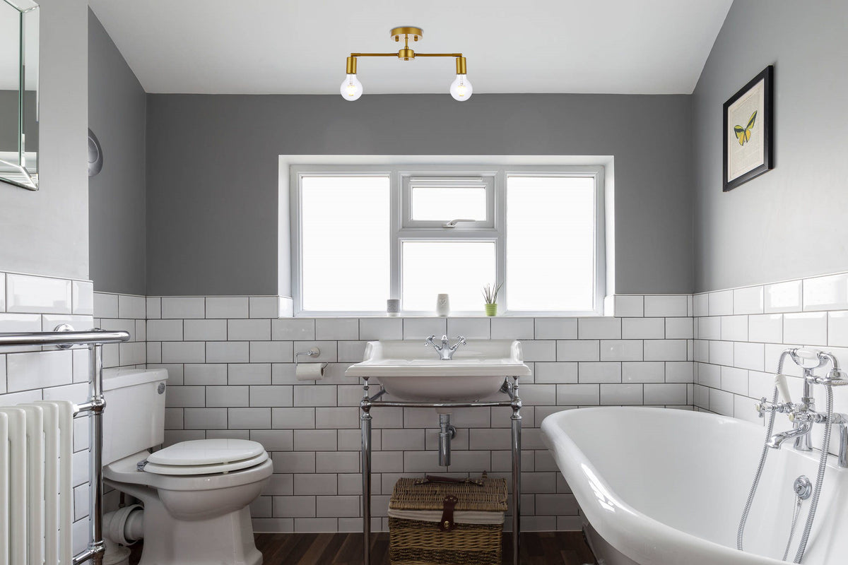 Zane 2 lights brass flush mount