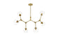 Cavoli 49 inch Chandelier in Brass