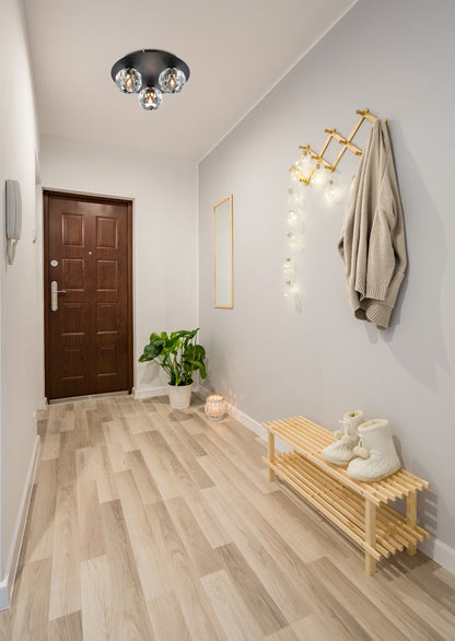 Graham 3 Light Ceiling Lamp in Black