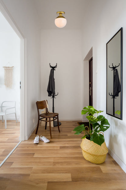 Eclipse 1 Light Brass Flush Mount With Frosted White Glass