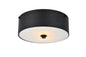 Hazen 2 light 12 inch Flat Black flush mount