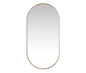 Metal Frame Oval Mirror 36x72 Inch in Brass