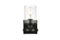 Saanvi 1 light Black and Clear Bath Sconce
