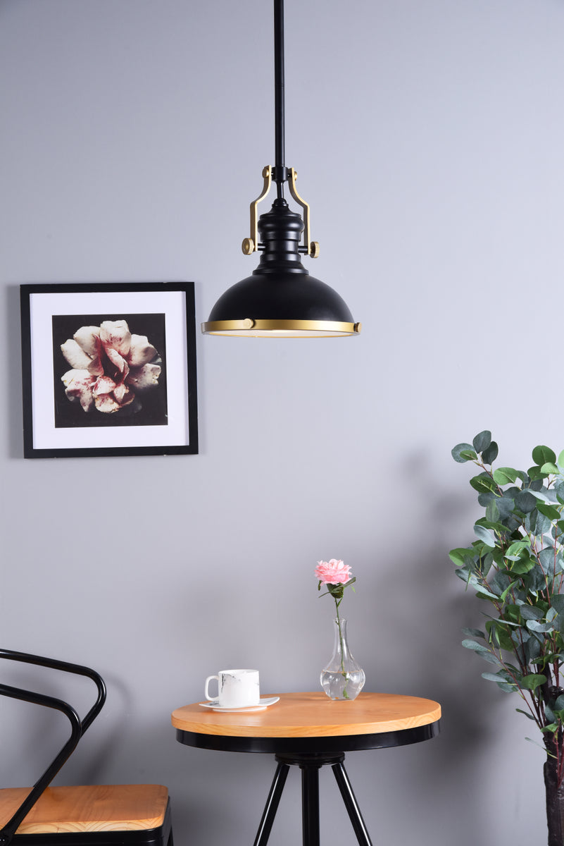 Eamon 1 Light matte black Pendant