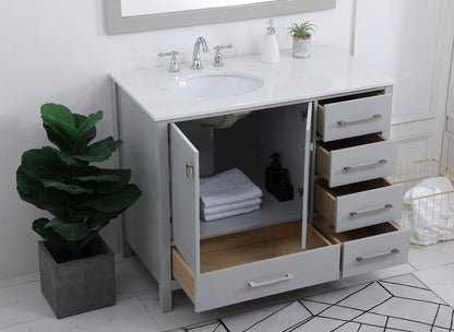 42 inch Single Bathroom Vanity in Gray