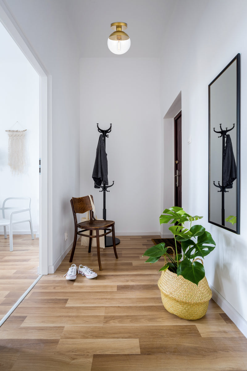 Eclipse 1 Light Brass Flush Mount With Clear Glass