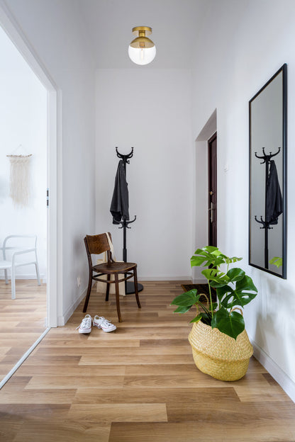 Eclipse 1 Light Brass Flush Mount With Clear Glass