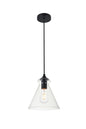 Destry 1 Light Black Pendant With Clear Glass