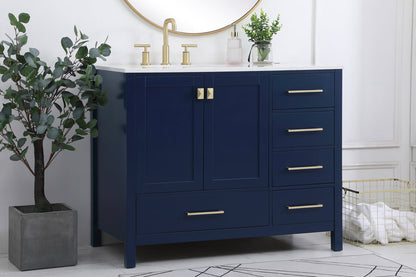 42 inch Single Bathroom Vanity in Blue