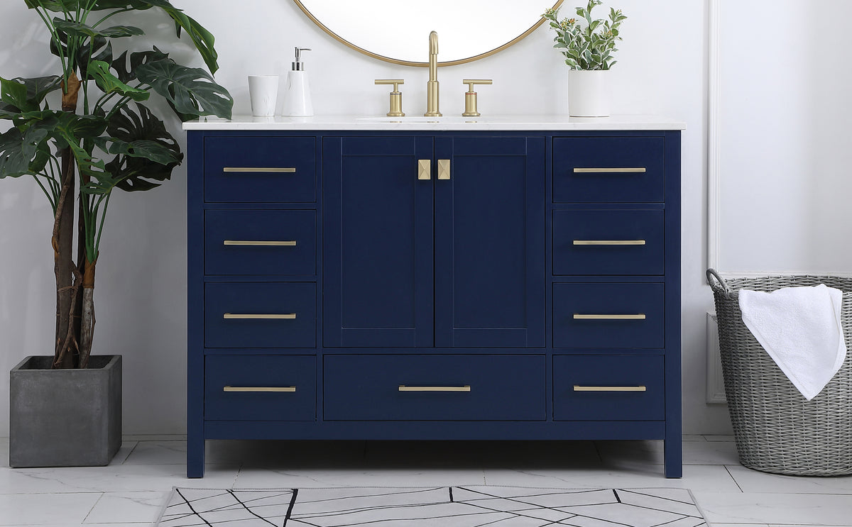 48 inch Single Bathroom Vanity in Blue