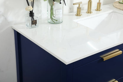 48 inch Single bathroom vanity in blue