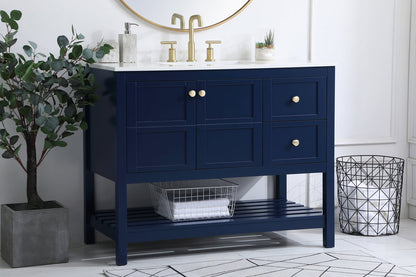 42 inch Single Bathroom Vanity in Blue