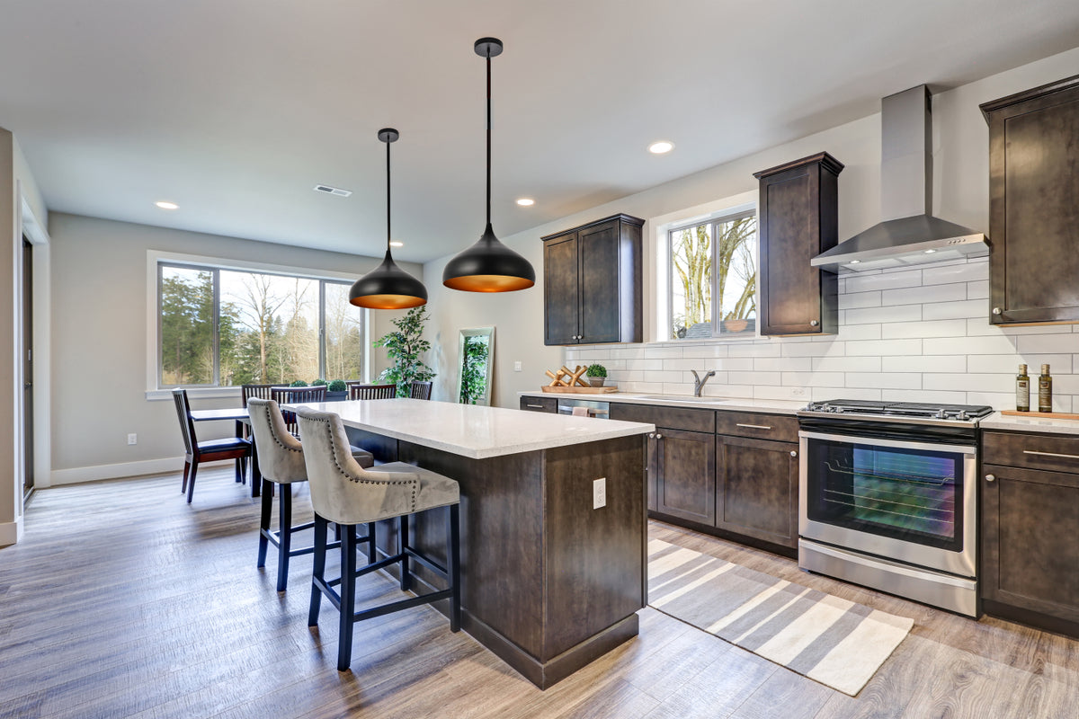 Circa Collection Pendant D16.5in H12in Lt:1 Black Finish