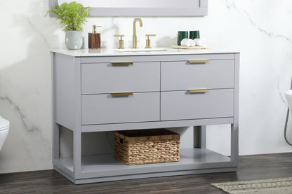 48 inch Single bathroom vanity in grey