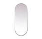 Metal Frame Oval Mirror 24x60 Inch in Silver