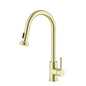 Sem Single Handle Pull Down Sprayer Kitchen Faucet in Brushed Gold