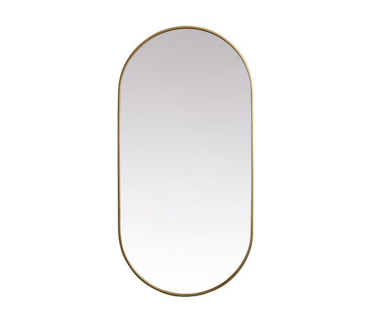 Metal Frame Oval Mirror 30x60 Inch in Brass