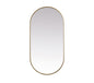 Metal Frame Oval Mirror 30x60 Inch in Brass