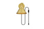 Blaise 1 light Brass plug in wall sconce