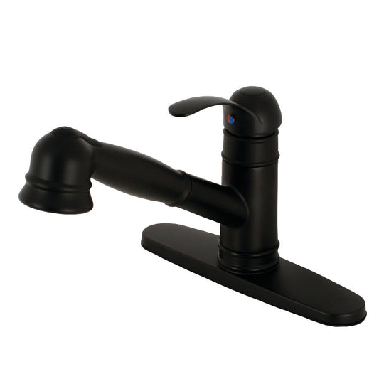 Eden Pull-Out Kitchen Faucet in Matte Black