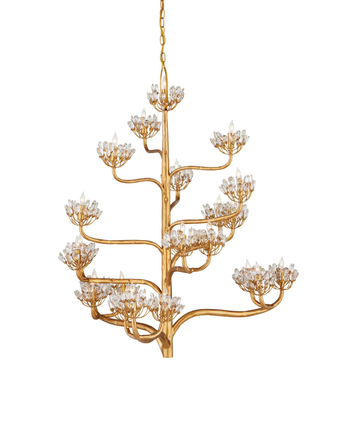 Agave Americana Gold Chandelier